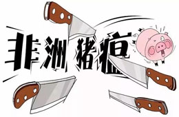 官宣 | 農業農村部：28省非瘟疫區解除封鎖，“豬荒”年底前有望緩解