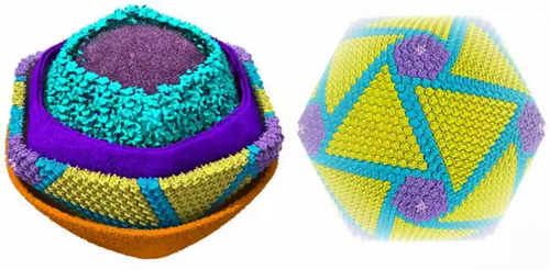 1571711538446948.png `OF4804J46SC{AQCOJ}~5@7.png