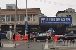 武漢華南海鮮市場元旦起休市，恢復(fù)營業(yè)時間未定
